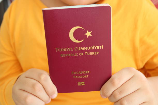 Visa solution for Turkey