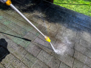 Roof Cleaning Homestead
