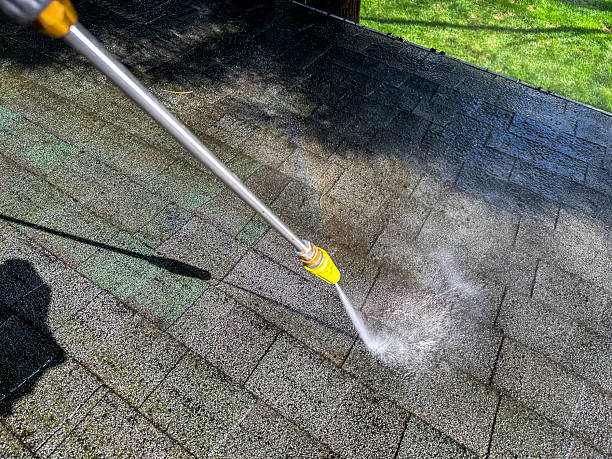 Roof Cleaning Homestead