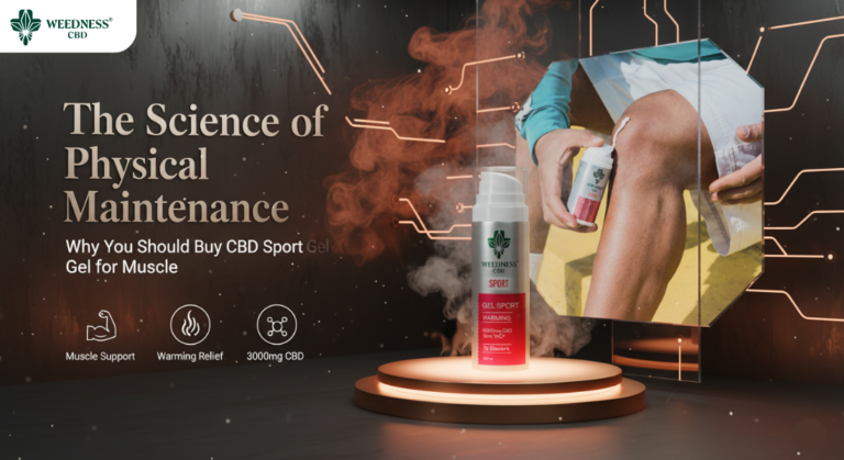 Buy CBD Sport Gel for Muscle