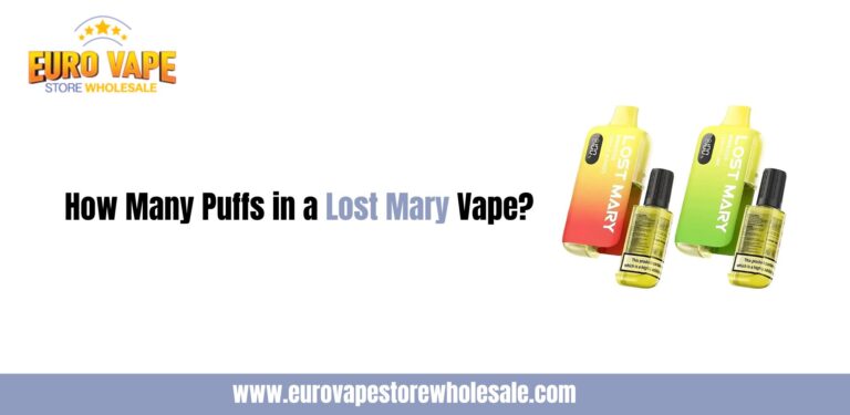 Lost Mary Collection