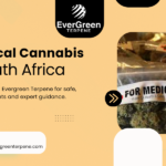 medical cannabis south africa