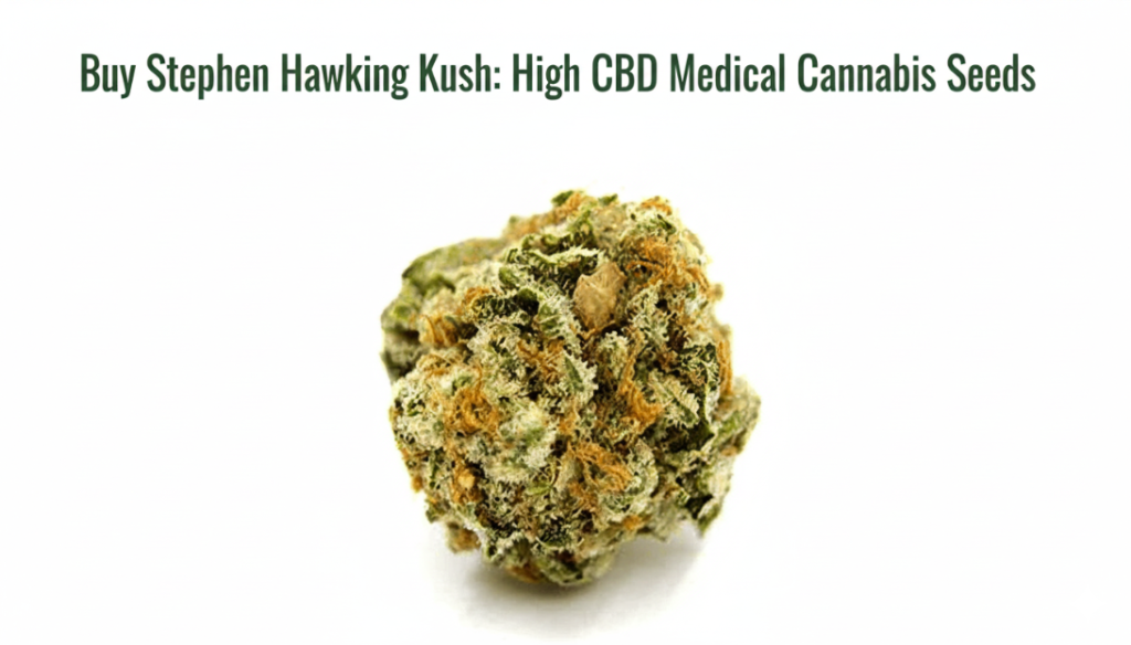 Screenshot 2026-03-24 132617