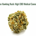 Screenshot 2026-03-24 132617