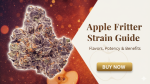 Screenshot 2026-03-24 142423