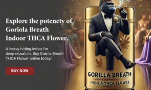 Screenshot 2026-03-24 163043