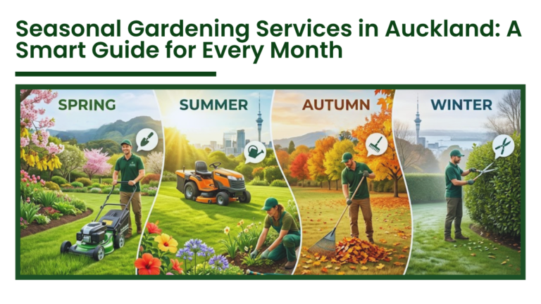 Seasonal gardening services in Auckland showing spring lawn mowing, summer garden care, autumn leaf cleanup, and w inter hedge trimming