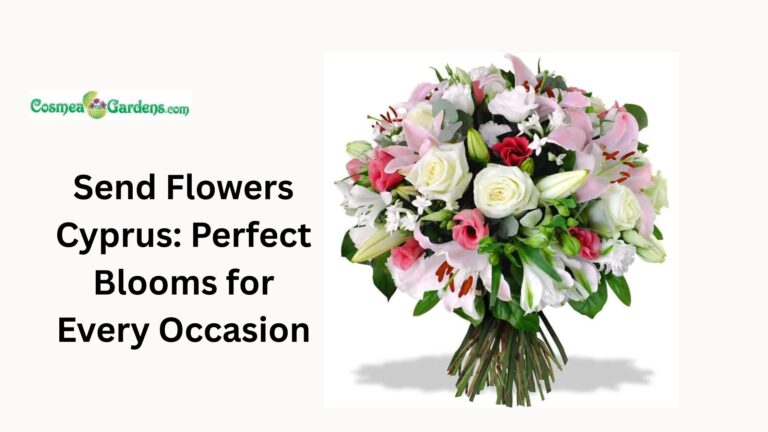 send flowers Cyprus
