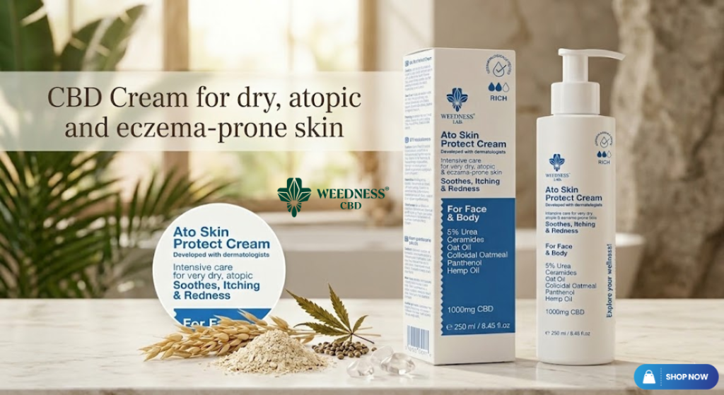 Untitled design (15)