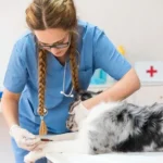 Veterinary Clinic in Dubai