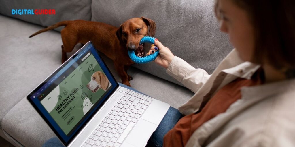 Veterinary SEO