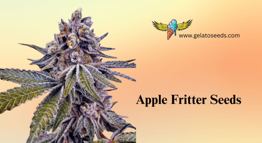 Vitamin-C Orange Flavor Beans (7)