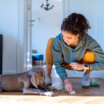 pet urine removal in Fairfax