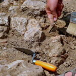 brush clearing services in Winchester