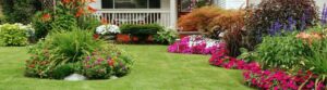 raleigh-lawn-care-top-dressing-Grassmaster-of-Wake-County-1-1024x284