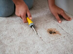 Carpet Repair Services