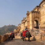 3-days-rajasthan-tour-from-delhi