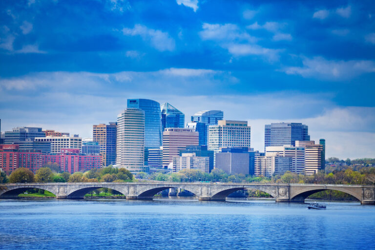  Pest control services