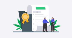 Best CBD Digital Marketing Agency in United States