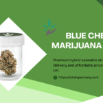 Blue Cheese Marijuana Strain