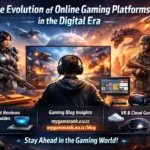 Online Gaming Platforms