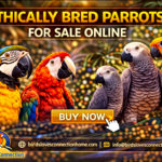 ChatGPT Image Apr 7, 2026, 11_57_10 AM