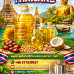 ChatGPT Image Dec 20, 2025, 12_01_11 PM