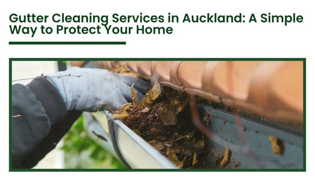 Professional gutter cleaning service in Auckland removing leaves and debris from roof gutters