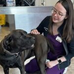 Emergency Vet Haymarket Va