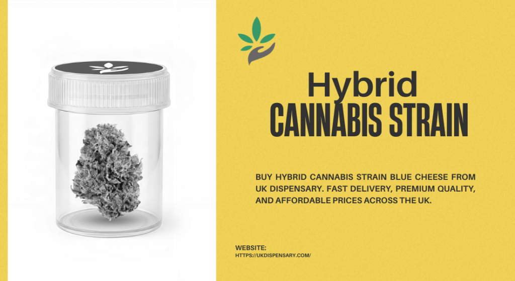 Hybrid cannabis strain