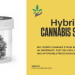 Hybrid cannabis strain