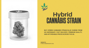 Hybrid cannabis strain