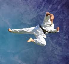 MARTIAL ARTS Marrickville