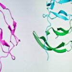 Protein Characterization and Identification Market