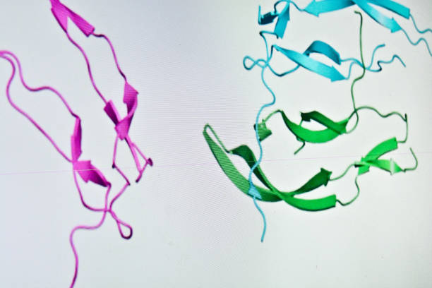 Protein Characterization and Identification Market