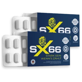 SX66