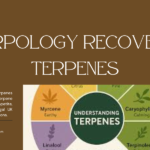 terpology recovery terpenes