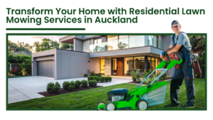 Residential lawn mowing service in Auckland with professional gardener mowing grass outside a modern home garden