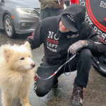 Untitled design - 2026-04-03T110219.816