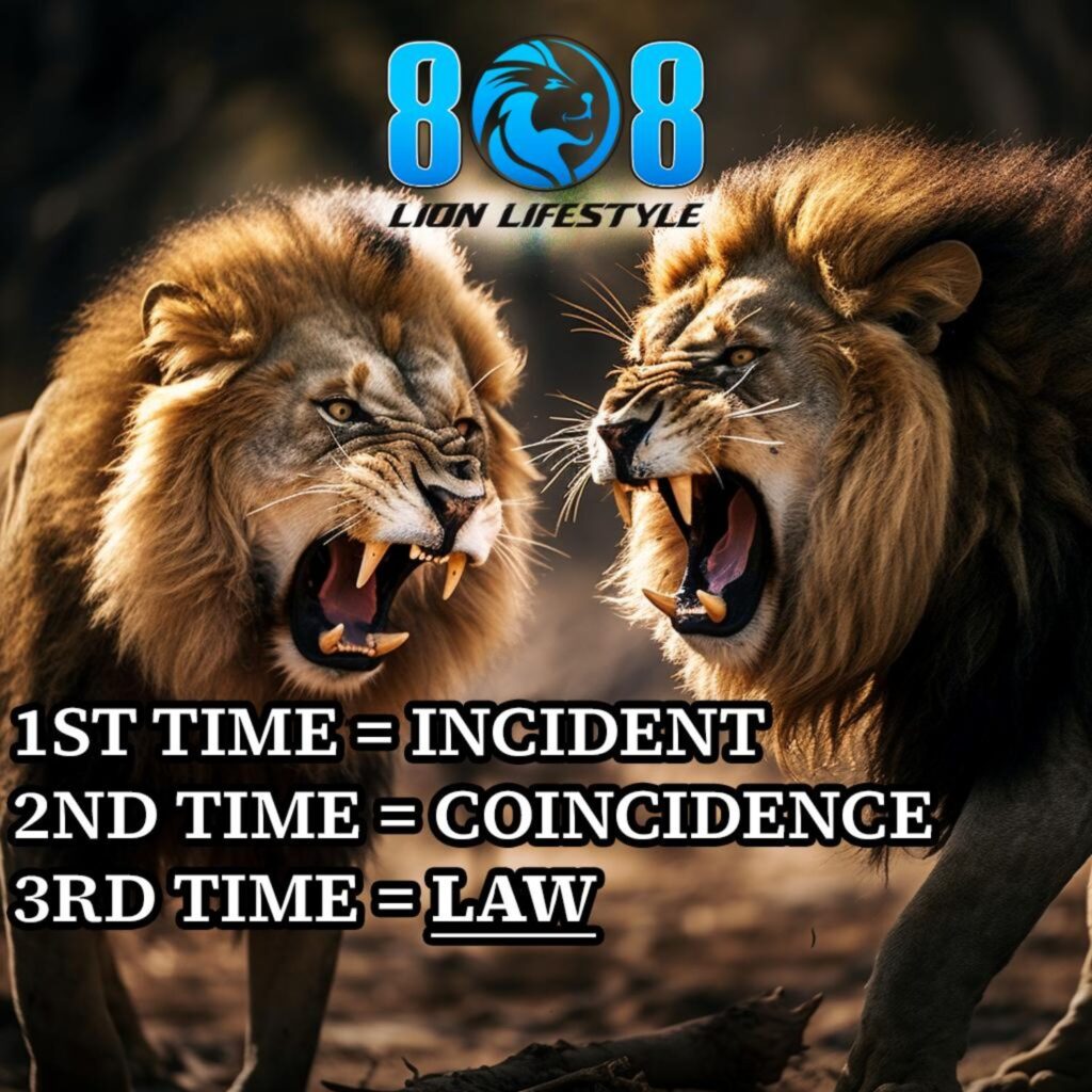 What Are Universal Principles?