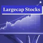 Large Cap Stocks
