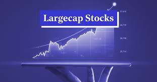 Large Cap Stocks