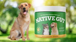 native gut reviews