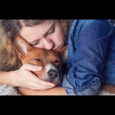 Signs a Dog is Dying