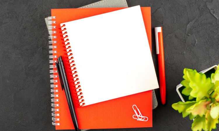 _small legal pads (1)