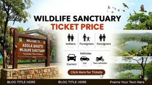 Asola Bhatti Wildlife Sanctuary Ticket Price