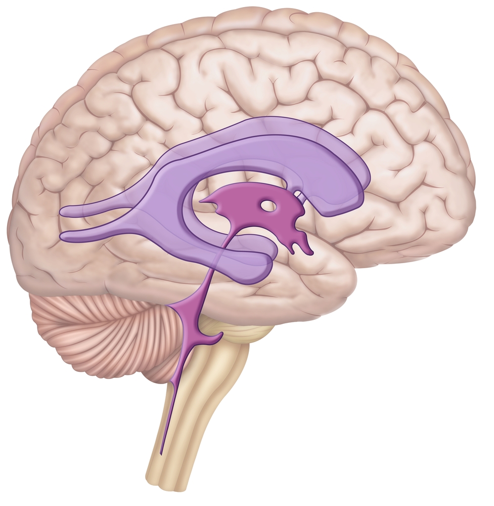 Blood-Brain Barrier Crossing Therapeutics
