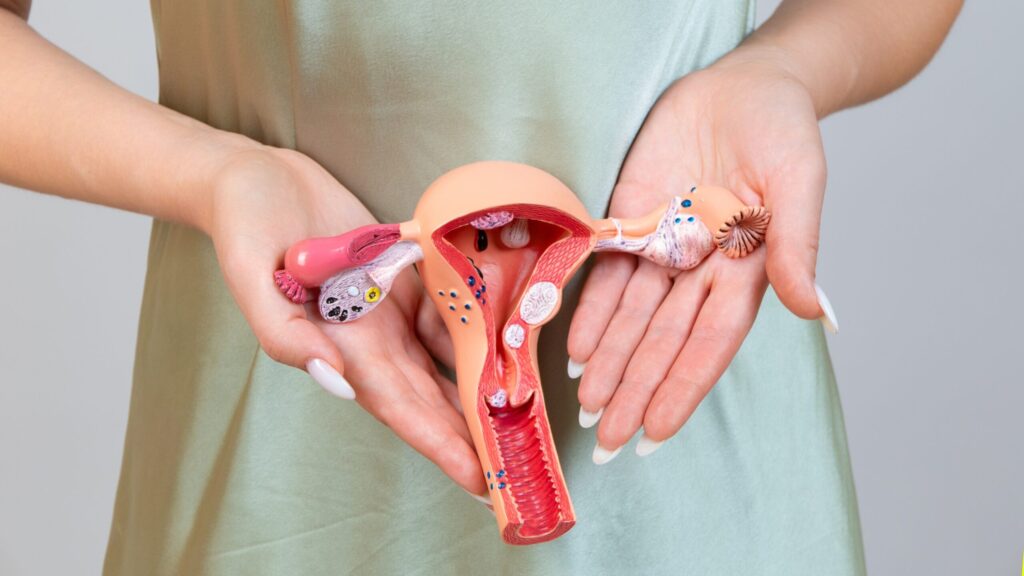 Cosmetic Gynaecology in Dubai: Latest Trends and Innovations