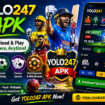 yolo247 club