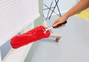 Dusting